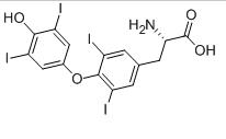 左甲狀腺素